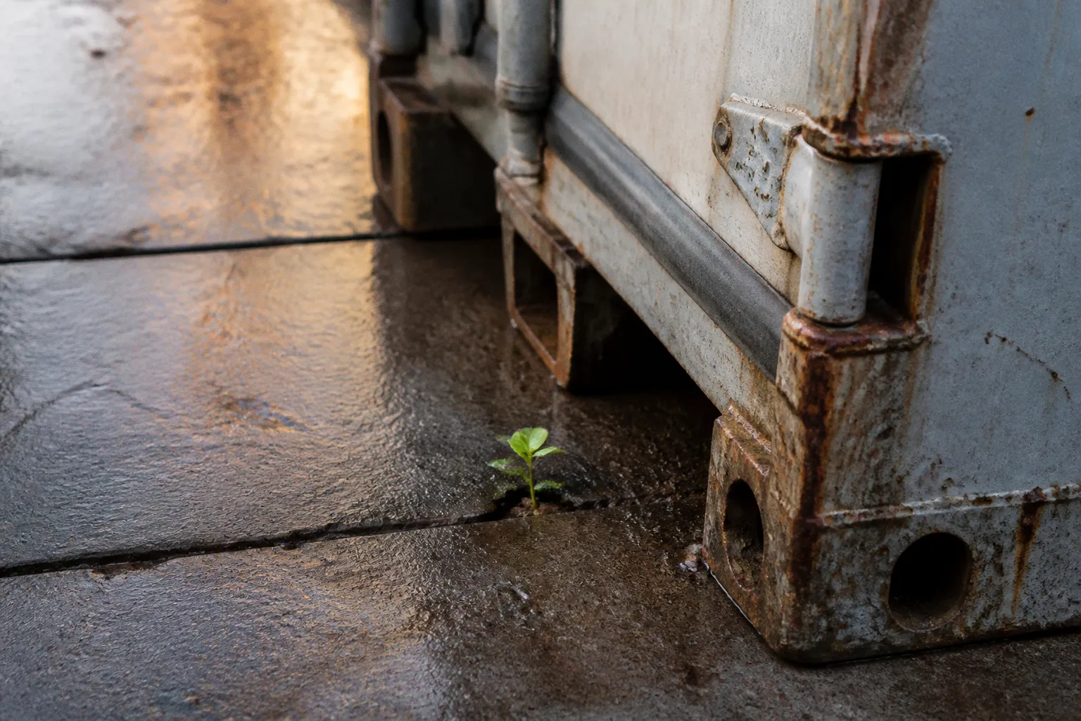 ESG reporting: Why I believe it is more than just compliance